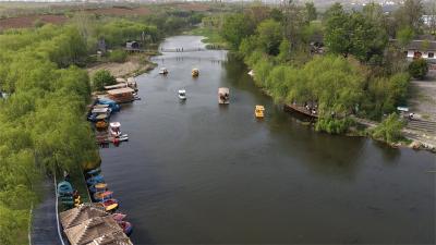 流水镇：春和景明好时节 “醉美莺河”迎客来