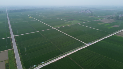 宜城：国债资金润沃野 高标准农田绘新景
