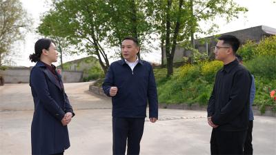 宜城市领导到王集镇调研督导安全生产等工作