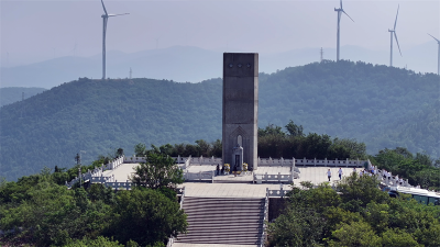 观景点、赏春花、品美食！板桥店镇旅游线路出炉