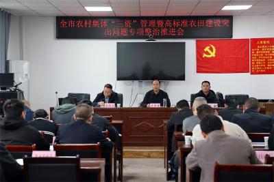 宜城推进农村集体“三资”管理暨高标准农田建设突出问题整治工作 