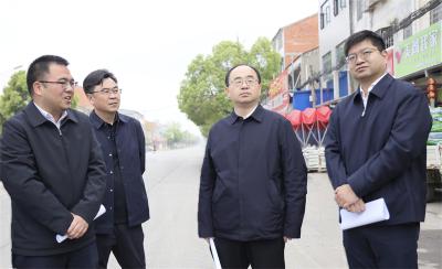 武义泉在小河镇调研时指出：聚焦重点攻坚克难 推动乡村振兴提质提速 