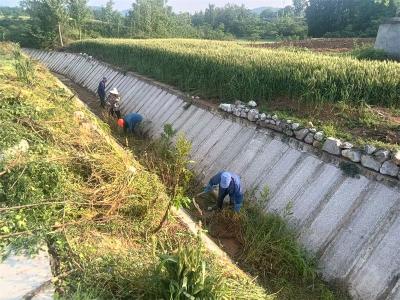 雷河镇胡耳村：清淤畅渠惠民生 水利安全有保障