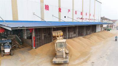 郑集镇夏粮抢收纪实：一场与雨天赛跑的攻坚战