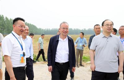 “中油杂501”暨“双密双高多抗”观摩会走进宜城