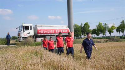 宜城多部门联动护航“三夏”生产 贴心服务助力夏粮颗粒归仓 