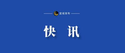宜城市市场监督管理局锻造高素质年轻干部队伍