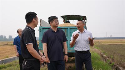  王迪调研防汛备汛、夏收、黑臭水体整改等工作