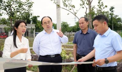 武义泉调研“校园餐”、教辅及农村集体“三资”专项整治工作