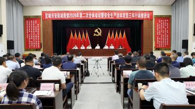 宜城市安防减救委2026年第二次全体会议 暨安全生产治本攻坚三年行动推进会召开
