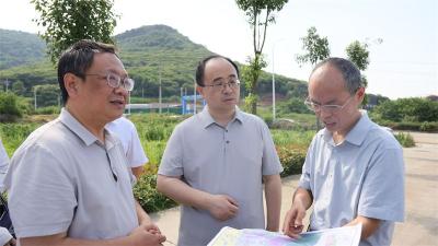 武义泉：强化要素保障 全力助企纾困解难 