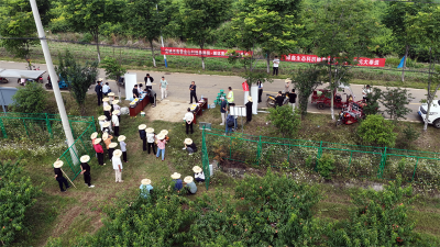 宜城：“生态包袱”变“财富”绿色循环铸“新链”