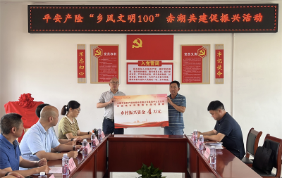 平安产险宜城支公司：党建共建促振兴 爱心点亮乡村路