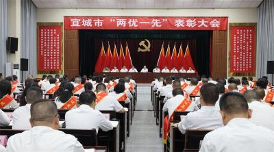 宜城市“两优一先”表彰大会召开 