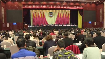 直击两会｜政协十届三次会议举行第二次全体会议