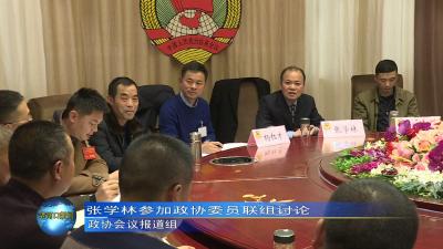 直击两会｜张学林参加政协委员联组讨论