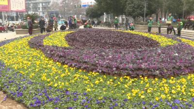 过年啦！鲜花绽放迎新春