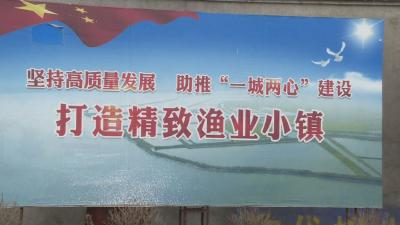薛集镇：靠水吃“水” 大力发展渔产业