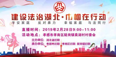 【直播】建设法治湖北·巾帼在行动——“28号9点妇联法治宣传进陡岗，现场维权在行动！”


