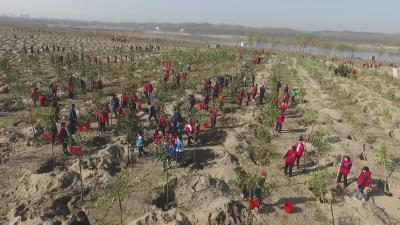 书记市长齐上阵！喊你一起来植树啦~