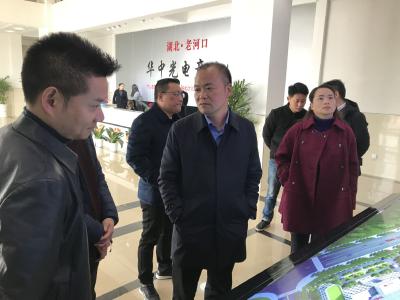 张学林：将光电产业园打造成全省特色产业集群