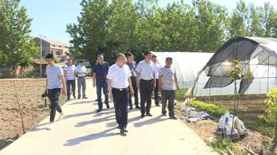 张学林到张集镇督办精准扶贫工作