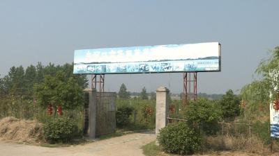 蓝莓成熟季，等你来采撷