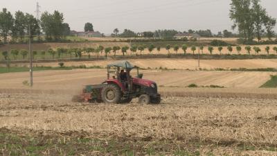 我市“三夏”生产如火如荼 