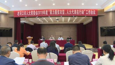 聚力脱贫攻坚 人大代表在行动