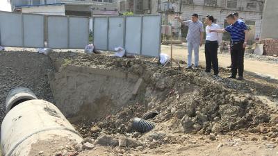 王燮耀：环境问题整改要敢于“动真格”