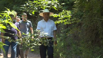 张学林：推动“山林+旅游”深度融合  让绿水青山变金山银山
