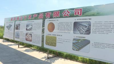 张学林：坚持绿色发展理念 做大做强蛋鸡产业