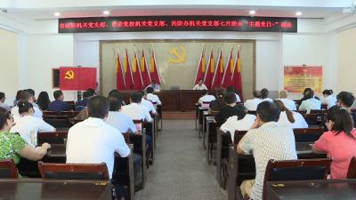 市政府办开展主题党日活动