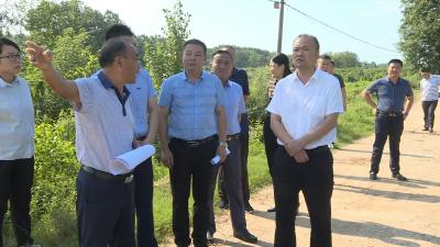 张学林到仙人渡镇开展“学习调研，担当落实”行动专题调研