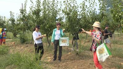 好嗨哟！“乡村休闲游，欢乐采摘行”走起