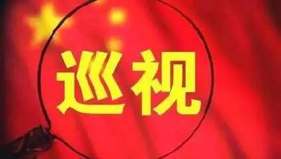 巡视公告