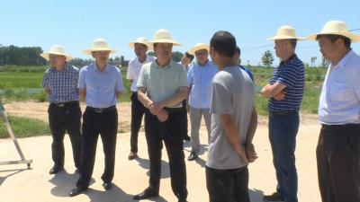王燮耀调研农业农村和乡村振兴产业试点工作