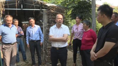 张学林督办美丽乡村建设等工作