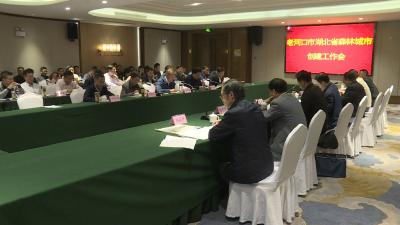 我市森林城市创建工作接受考核验收