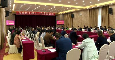市政协十届十一次常委会议召开