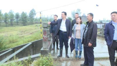 王燮耀督办水库除险加固等工作落实情况