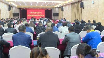 张学林：瞄准靶心 把住重点 做大做强村级集体经济