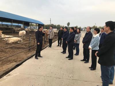 襄阳市领导赴河南考察畜牧产业发展
