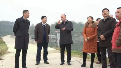 张学林深入洪山嘴镇督办农村人居环境整治工作