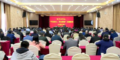 [“不忘初心 牢记使命”主题教育进行时]张学林作主题教育专题党课