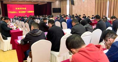 [“不忘初心 牢记使命”主题教育进行时]市政府党组聆听主题教育专题党课