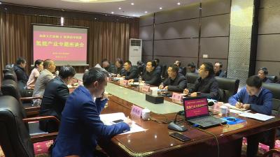 我市召开氢能产业专题座谈会