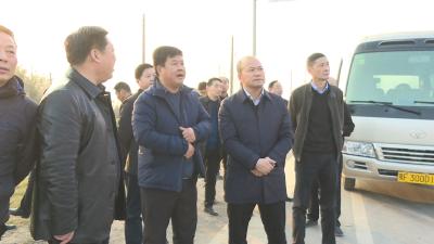 张学林督办重点项目建设