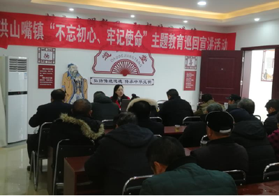市委党校讲师为洪山嘴镇作专题讲座