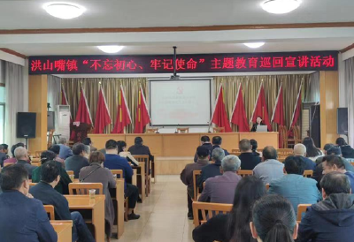 市委党校讲师为洪山嘴镇党员干部作专题讲座